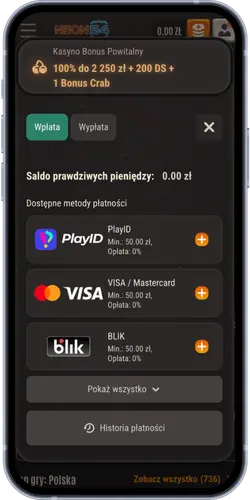 Metody płatności w kasynie Neon54: PlayID, Visa, Mastercard, Blik